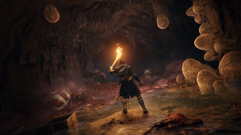 Elden Ring (PC) - Steam Key - EUROPE
