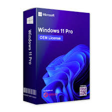 Windows 11 Pro – OEM License Key (1 PC)